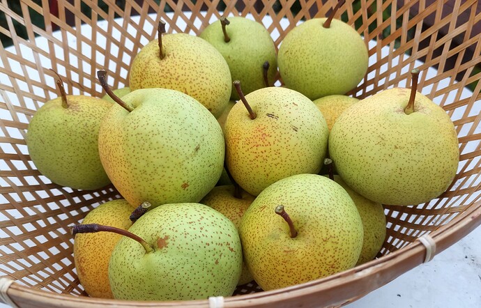 IMG_20210927_181340_edit_118478660958481