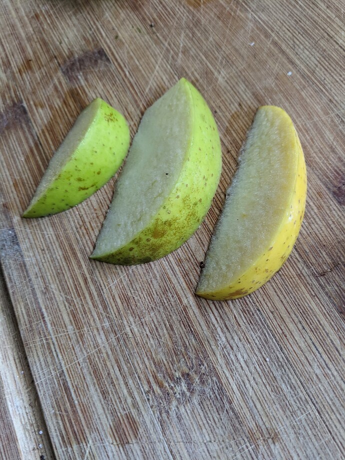 PXL_20231013_164156001