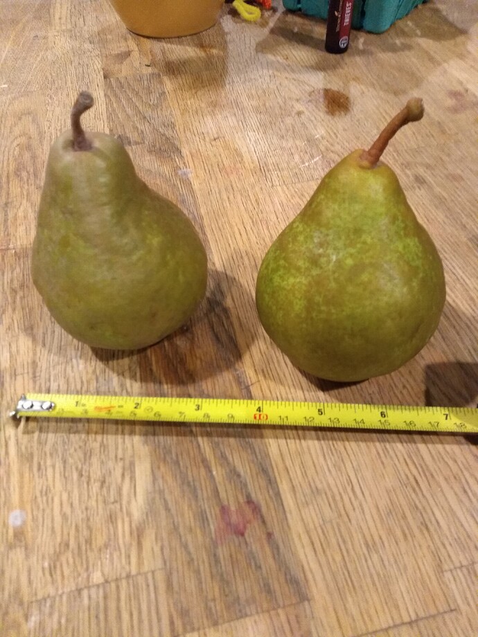 IMG_20210826_222933557