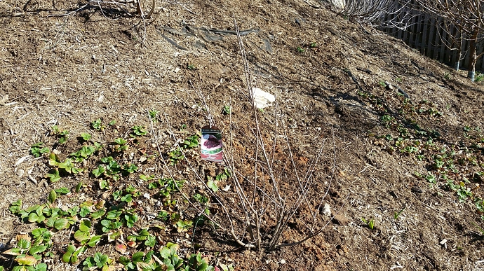 20190317_101945_resized