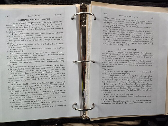 IMG_20250319_182850128_HDR