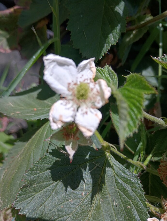 IMG_20240515_141423802_HDR