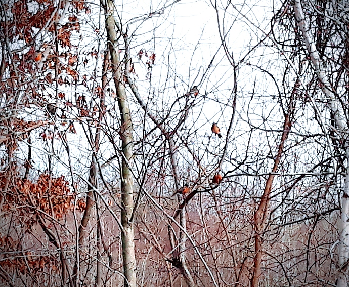 20210130_145700(0)_kindlephoto-559088585