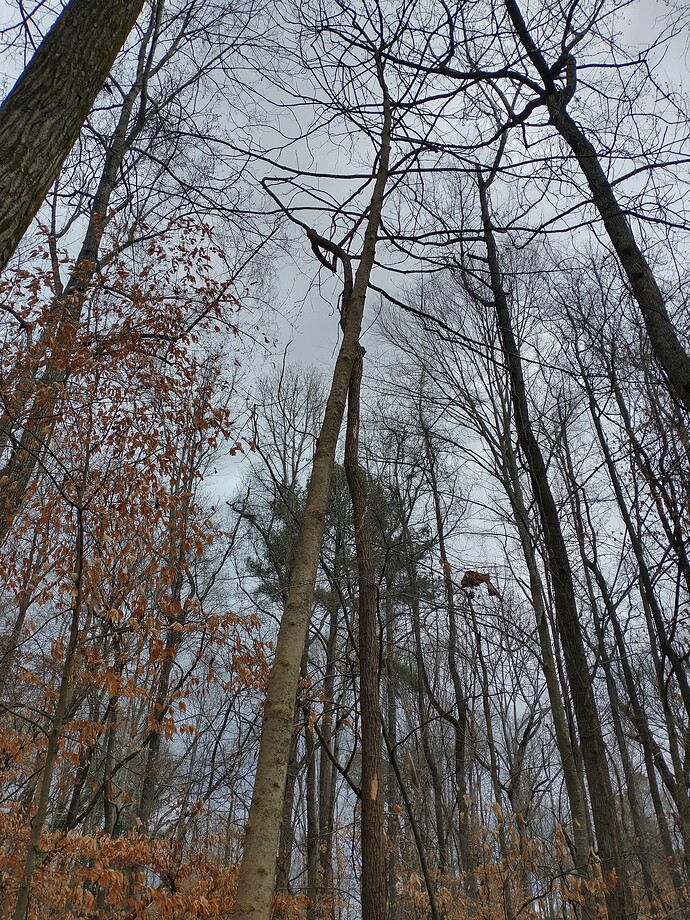 IMG_20240228_102307759_HDR