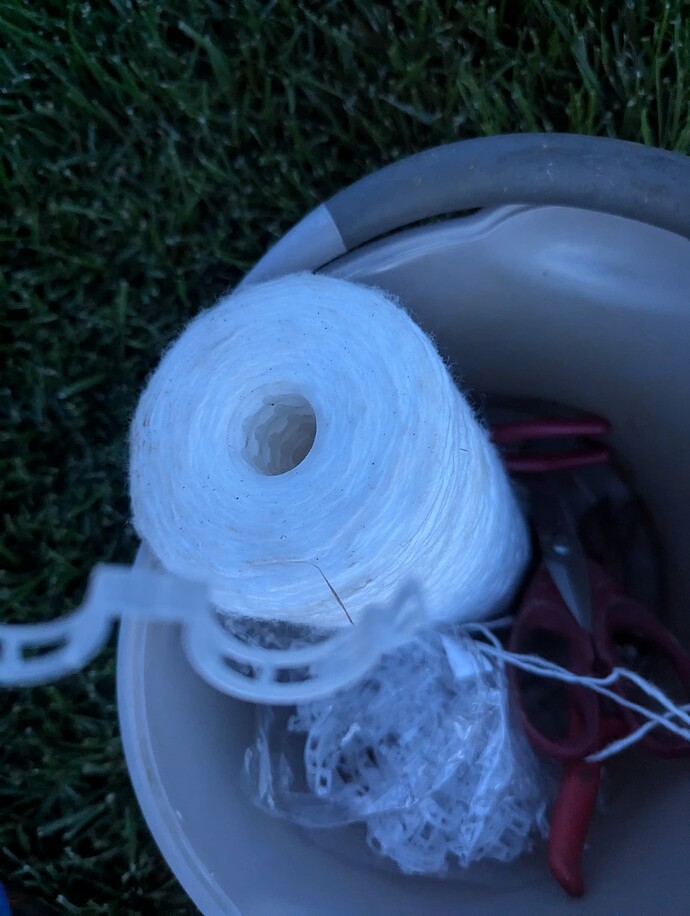 PXL_20240621_022210289