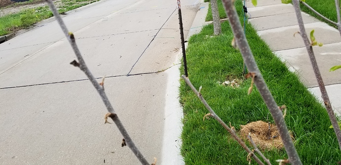 15909308706971745426680131006840