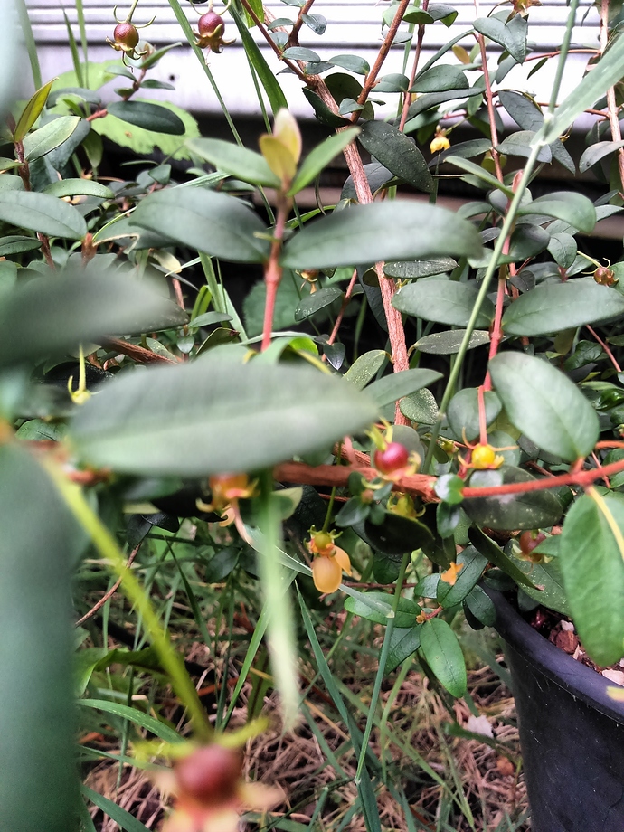 IMG_20200605_115642915