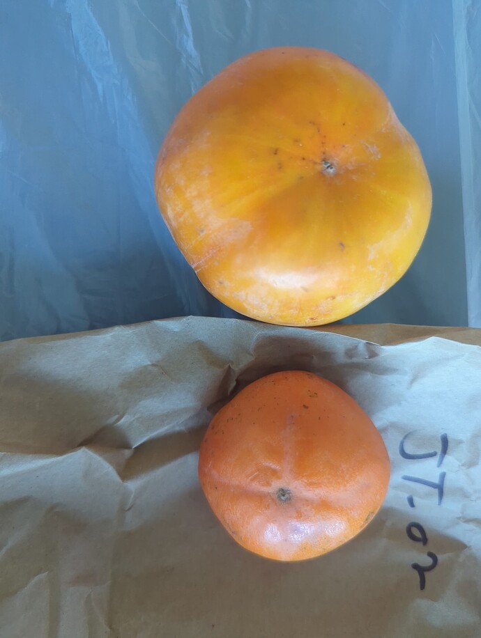 17007596193143591876376448109259