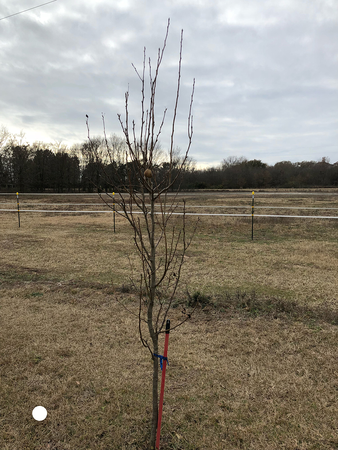 539CC2D1-F8A7-43DB-8459-B0E5501EC07A