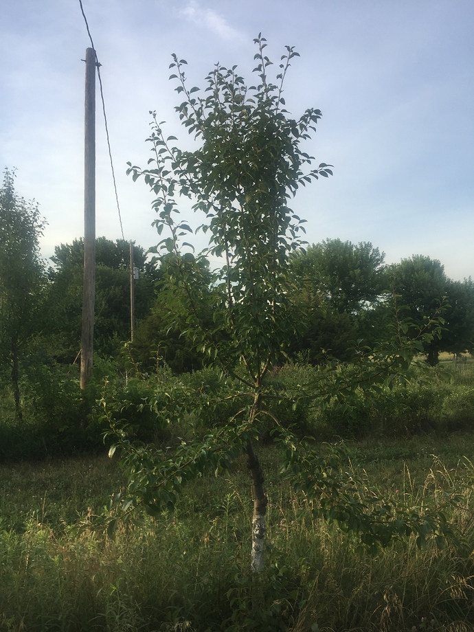 B47429C2-7322-45E6-A66B-41781D530024