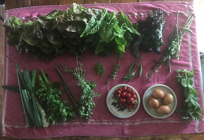Today's Harvest 5.27.2021
