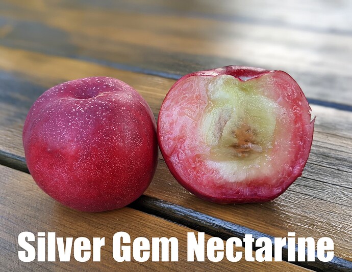 Silver Gem Nectarine