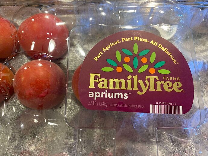 455428141_2080063292388832_263170501455896496_n