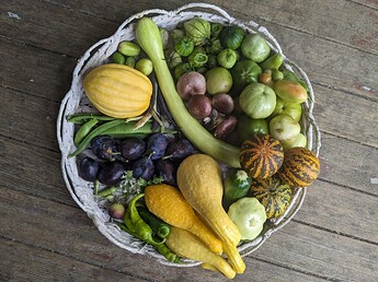 PXL_20240925_203755019