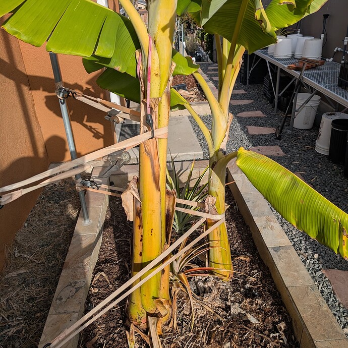 PXL_20250228_234322554