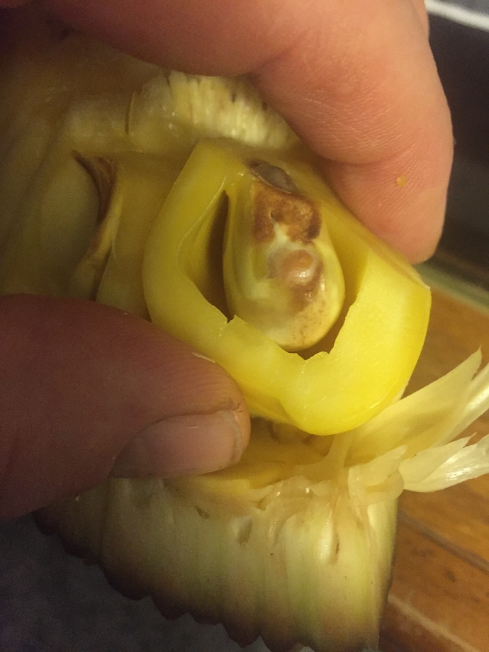 05BB4A98-B084-4C97-9239-B058BE5AB321