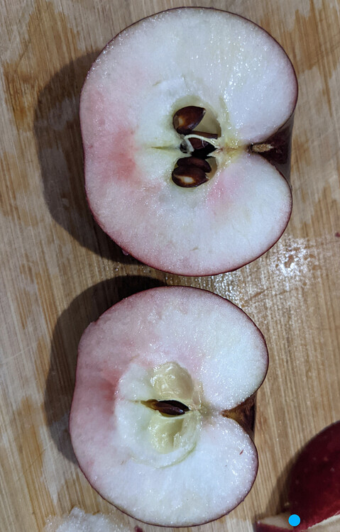 Screenshot_20211101-220336