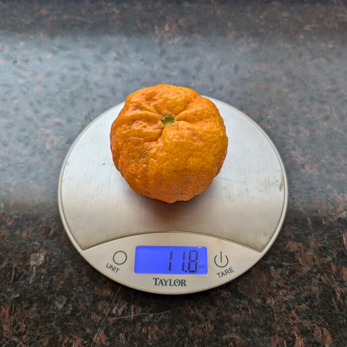 PXL_20250403_225514685