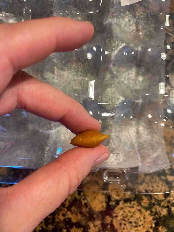 455525247_389033524217591_5689575139687454047_n