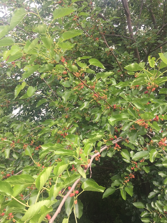 96091F86-F422-4901-9FF6-81912705DE58