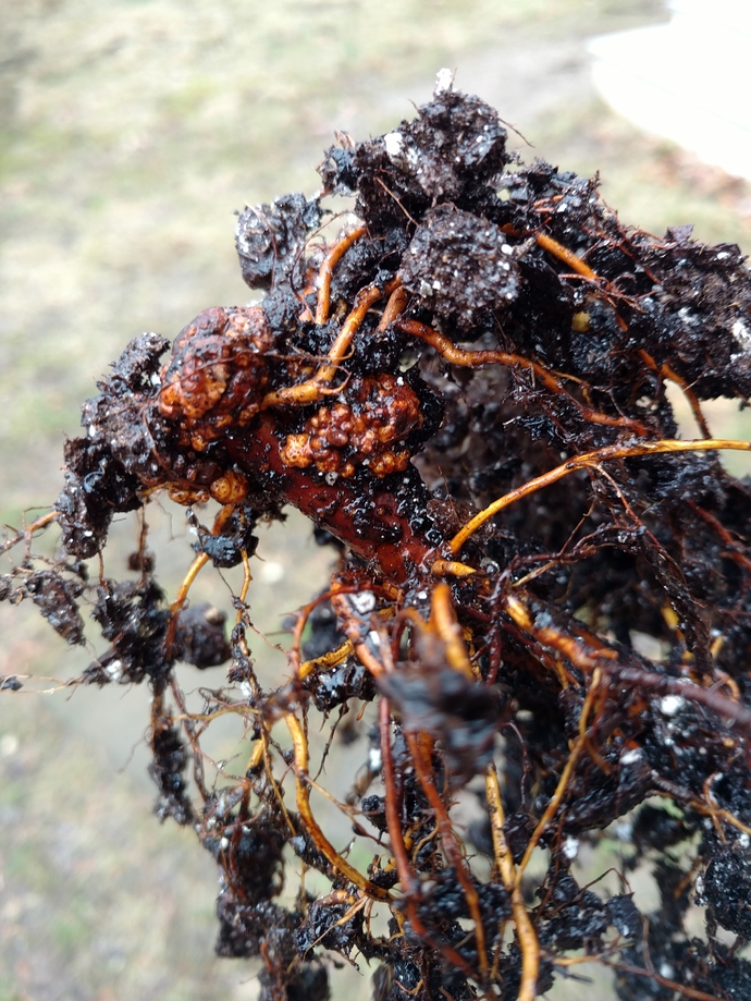 IMG_20180216_085359150