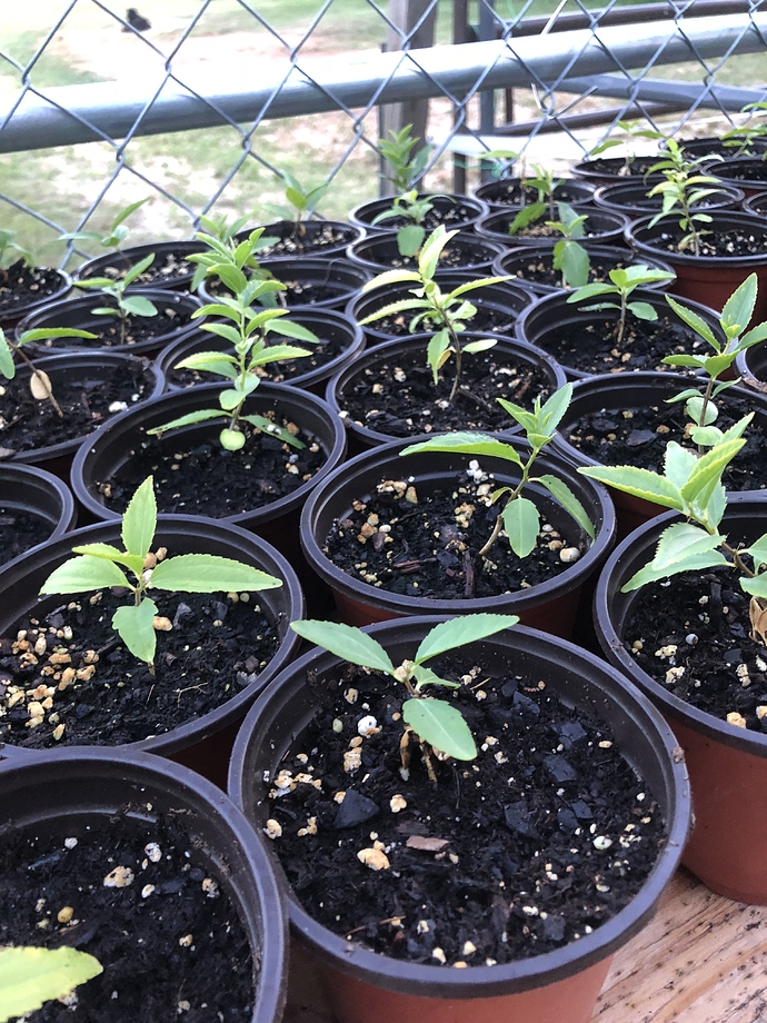 61D5BDC7-A1F7-4265-B9D4-E5F63172B2F2