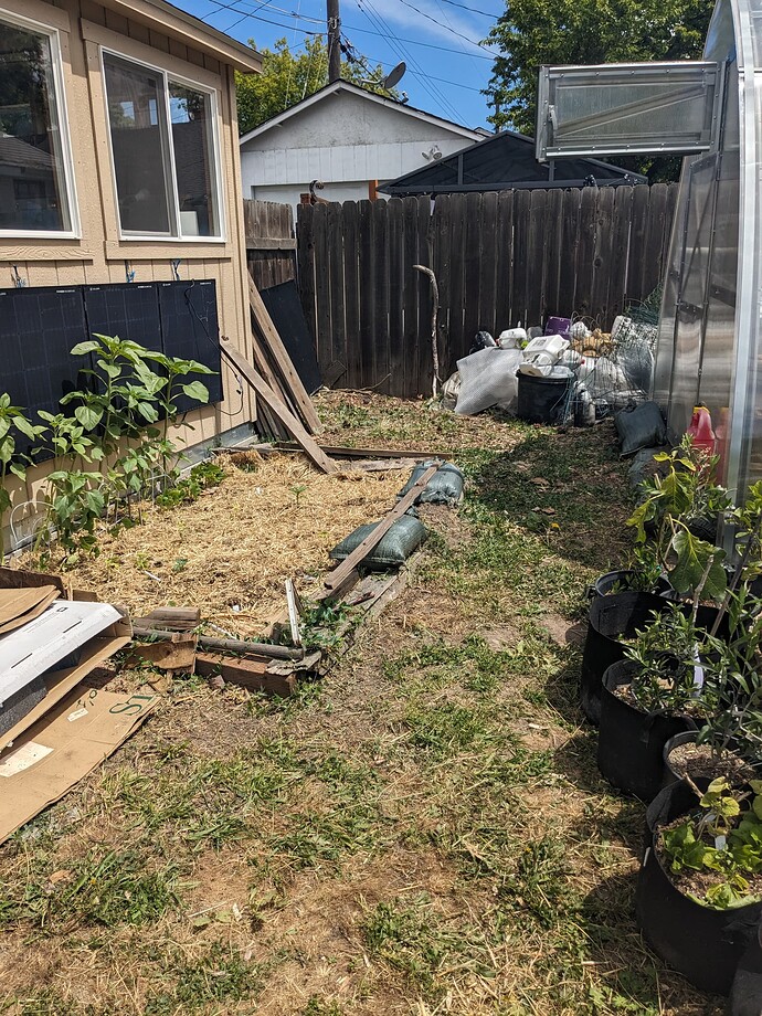 PXL_20240608_194159860