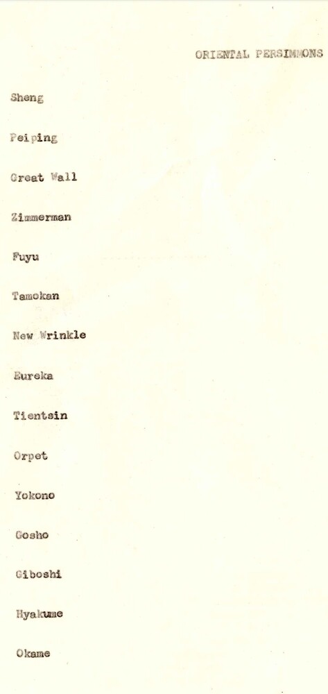 Screenshot_20250106-105607_Drive
