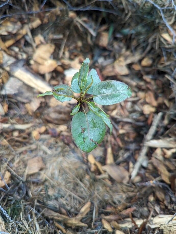 PXL_20240602_143139491