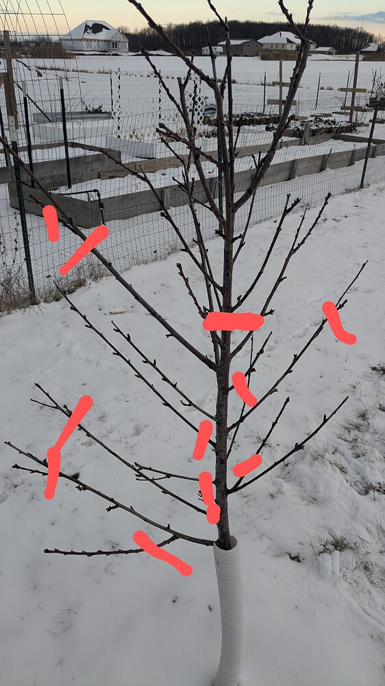 PXL_20250111_215843970~2