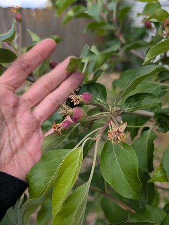 PXL_20250515_204842200