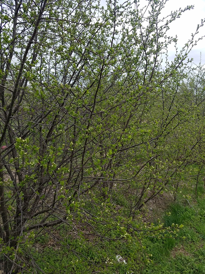 20190411_141211