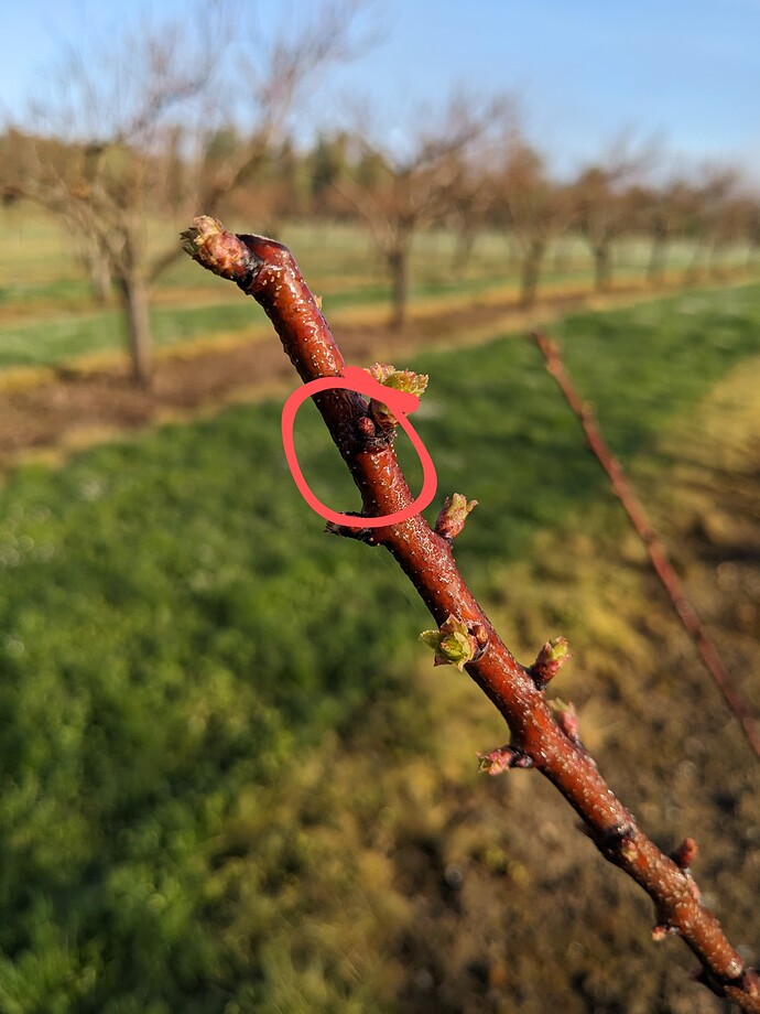 PXL_20230426_144750953~2