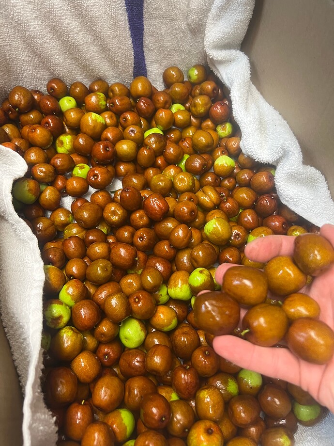 Honey_Jar_wet_ph_09-26-2024