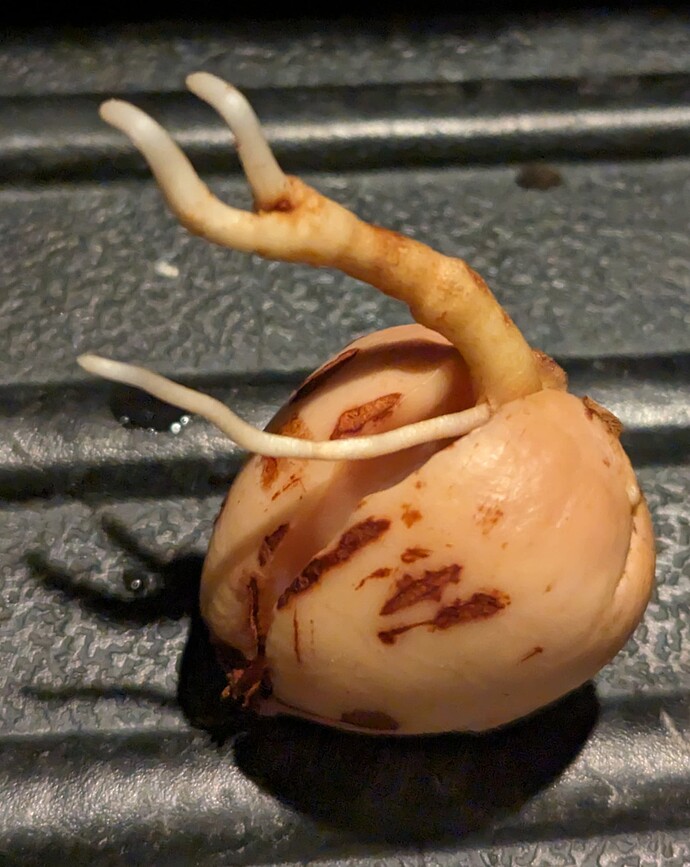 PXL_20230731_043037462