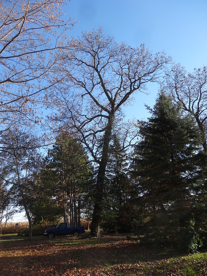 November%201st%202014%20with%20Gary%20Fernald%20008