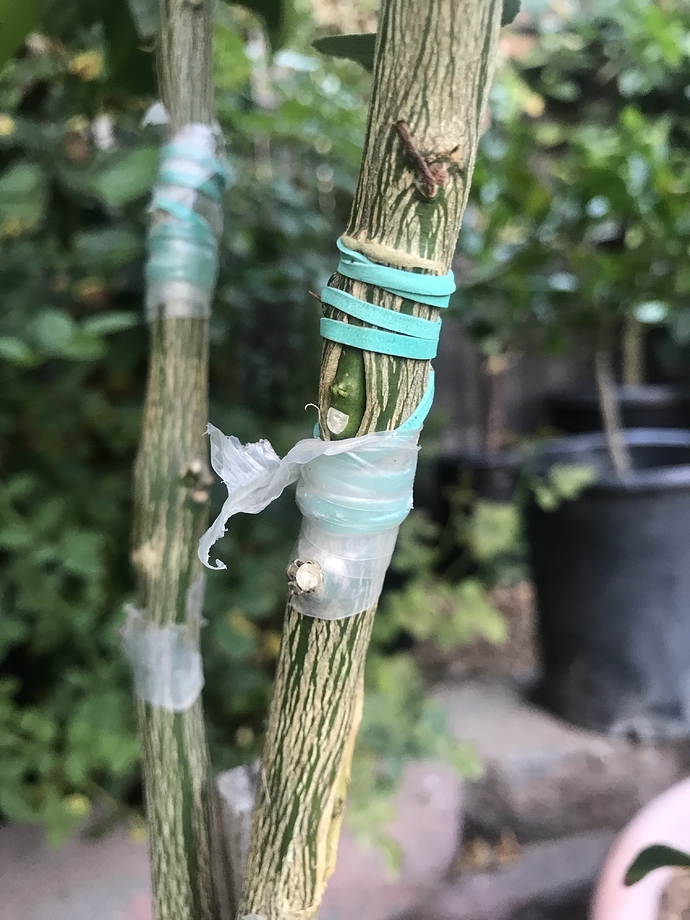 9DEDDBE0-08F0-4D67-BF0B-5D1E25AB4755