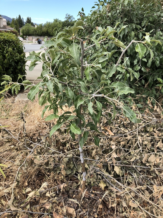 20190628_185814496_iOS