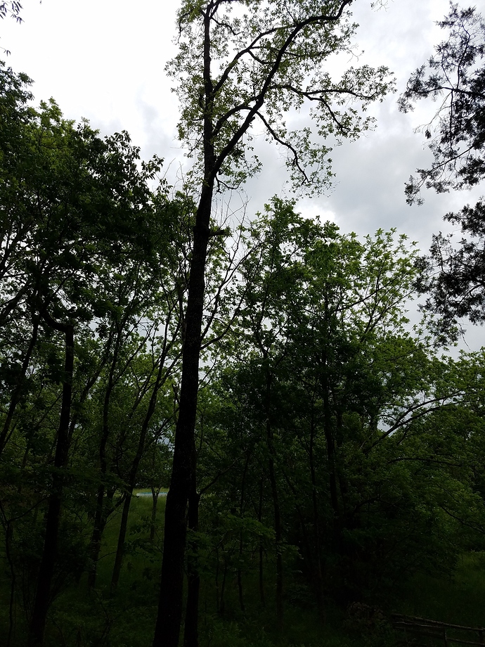 20190518_141503