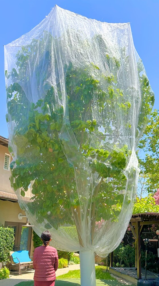 Untitled design (41)