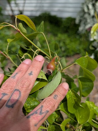 PXL_20250515_204821296