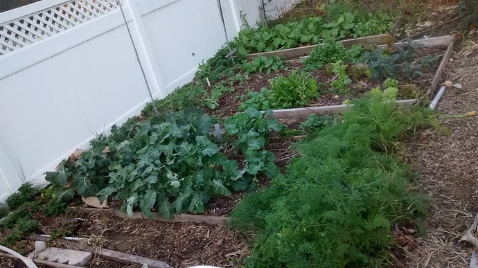 IMG_20181104_155026327