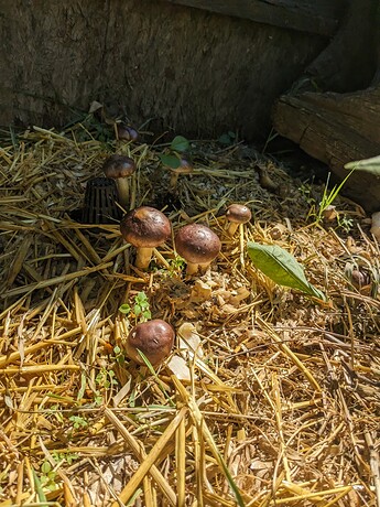 PXL_20230702_225025268