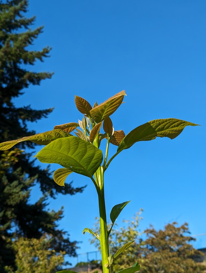 PXL_20230817_010435715