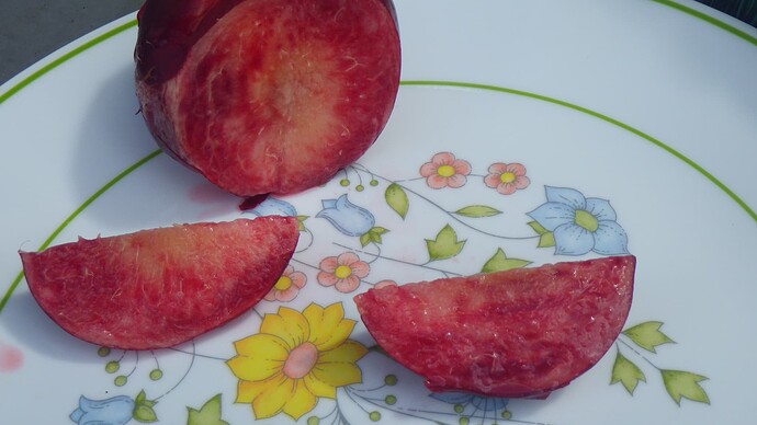 210f939b2b91706234c284a882f7f140a8886c5d