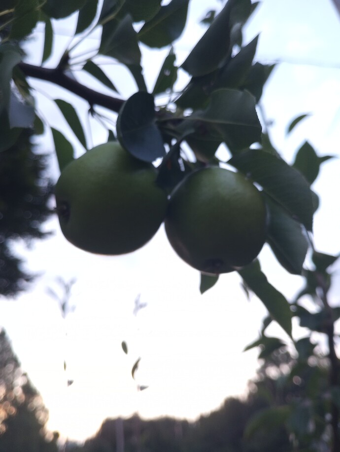 IMG_20220810_200311242