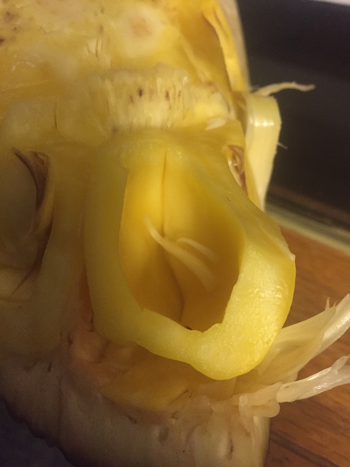 759F3DB0-B84E-46D1-8C02-9BAE98858A69