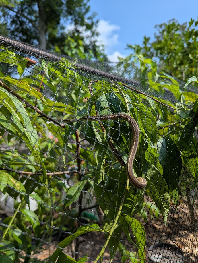 PXL_20250507_145550321