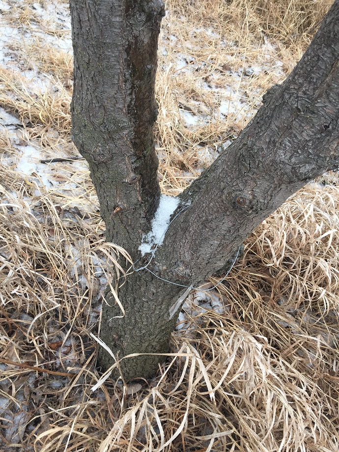 82D82CCB-9FBB-401A-AA68-42C06C1E56D0