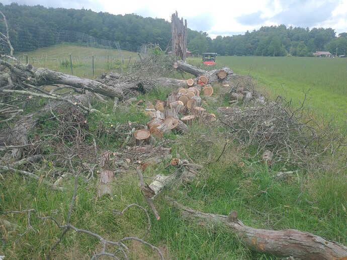 IMG_20230704_140605220